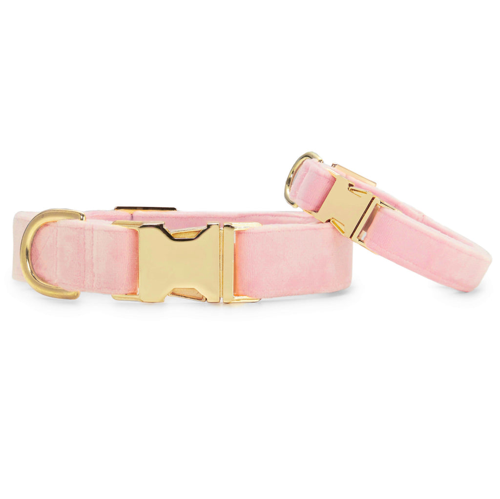 Blush dog outlet collar