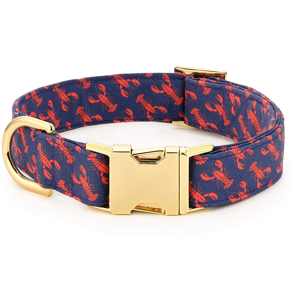 Louis Vuitton Dog Harness and Leash