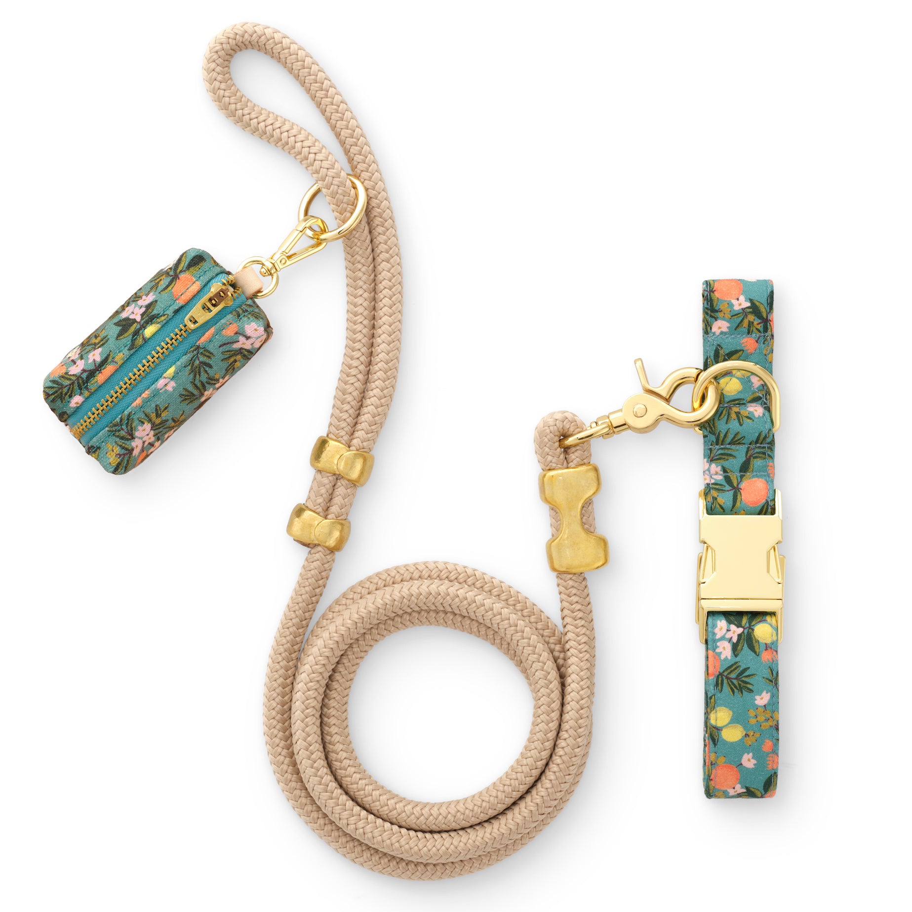 Foggy dog fashion leash