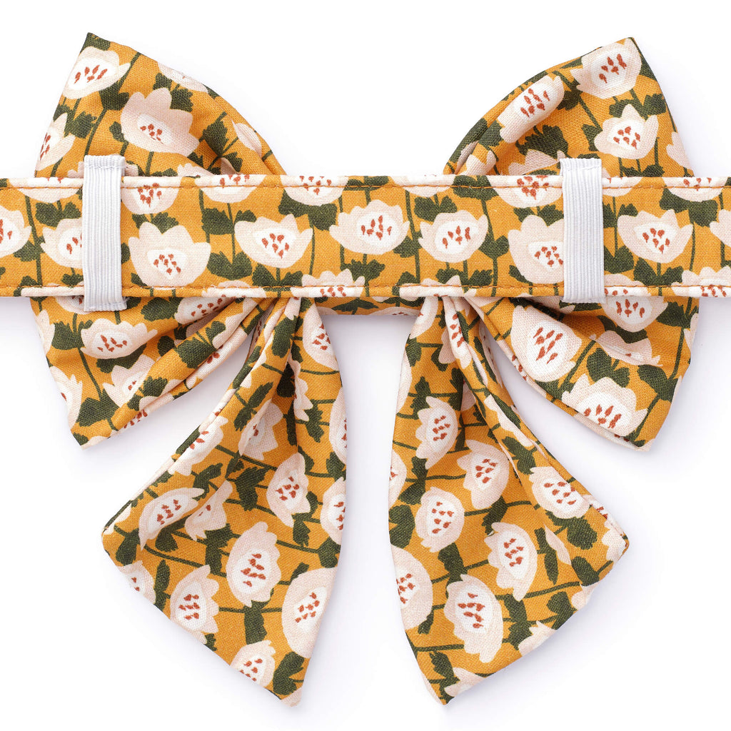 Goldenflowers Lady Bow Collar – The Foggy Dog