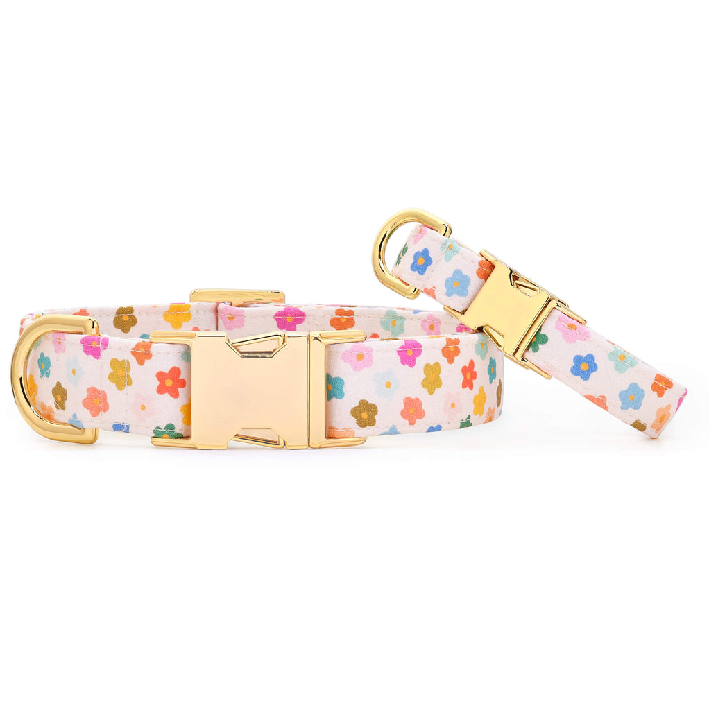 Shiny Rainbow Mermaid Dog Collar — Maggie Wags Collar Co.