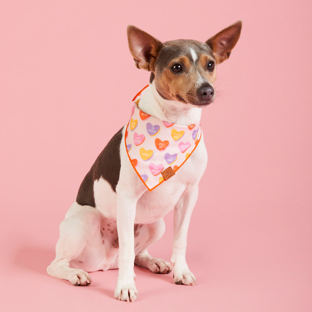 Dog Bandana in Cloud Rainbow Heart