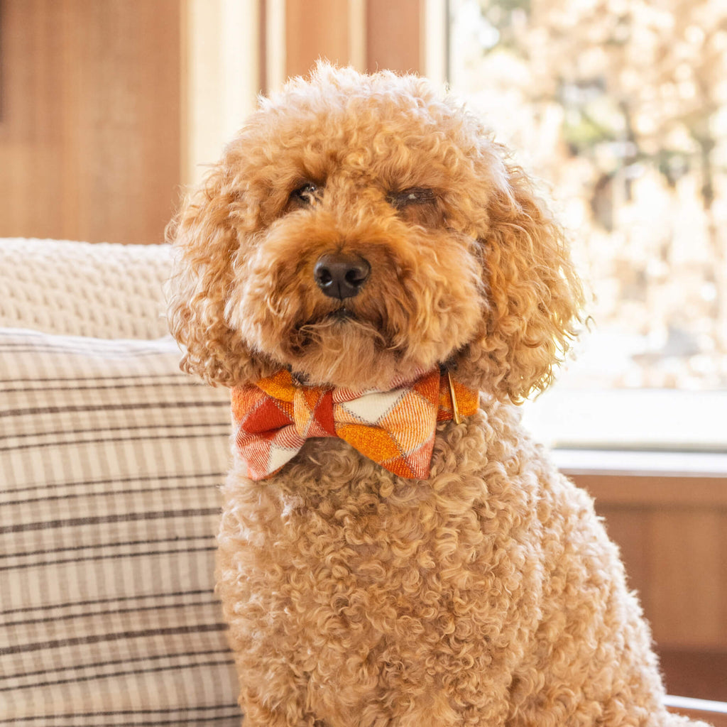 Marsala Plaid Flannel Dog Bow Tie
