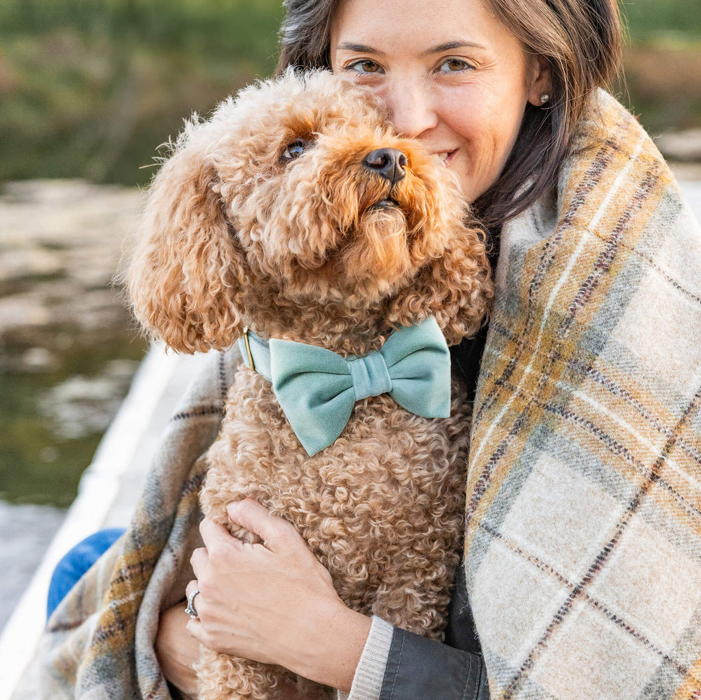 Fluffy Dog Collar Bow Tie -Classic Robin's Egg