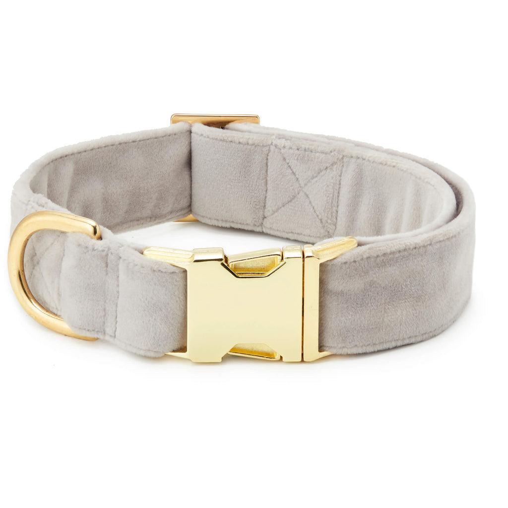 Robin's Egg Velvet Dog Collar – The Foggy Dog