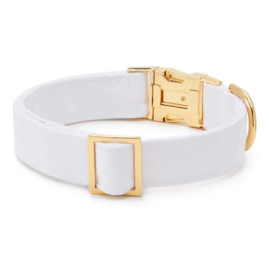 White leash hot sale and collar