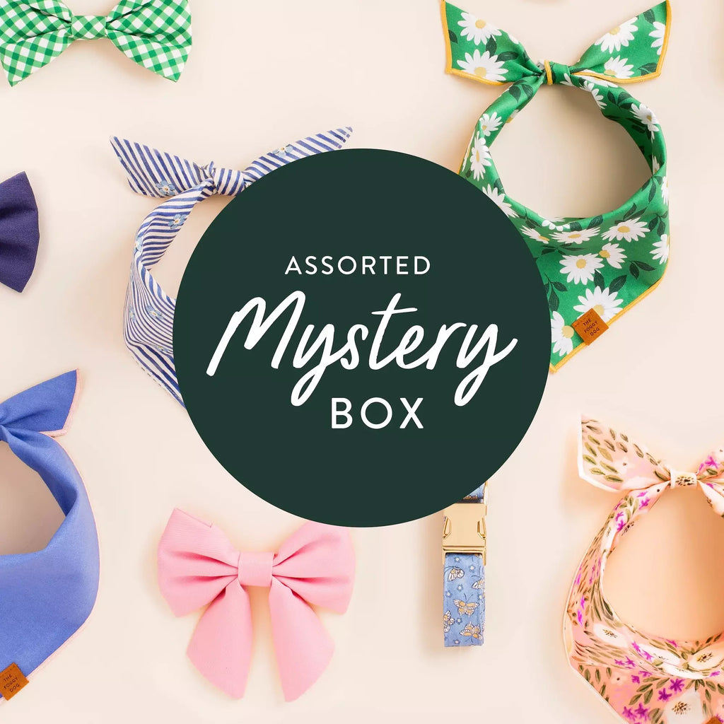 Assorted Mystery Box – The Foggy Dog