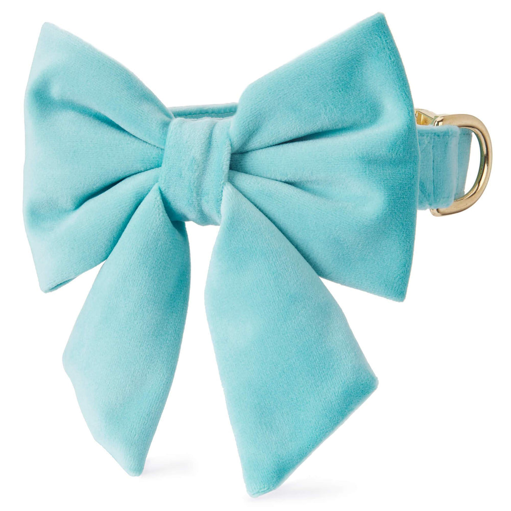 Dog Collar - Robin's Egg Blue Velvet