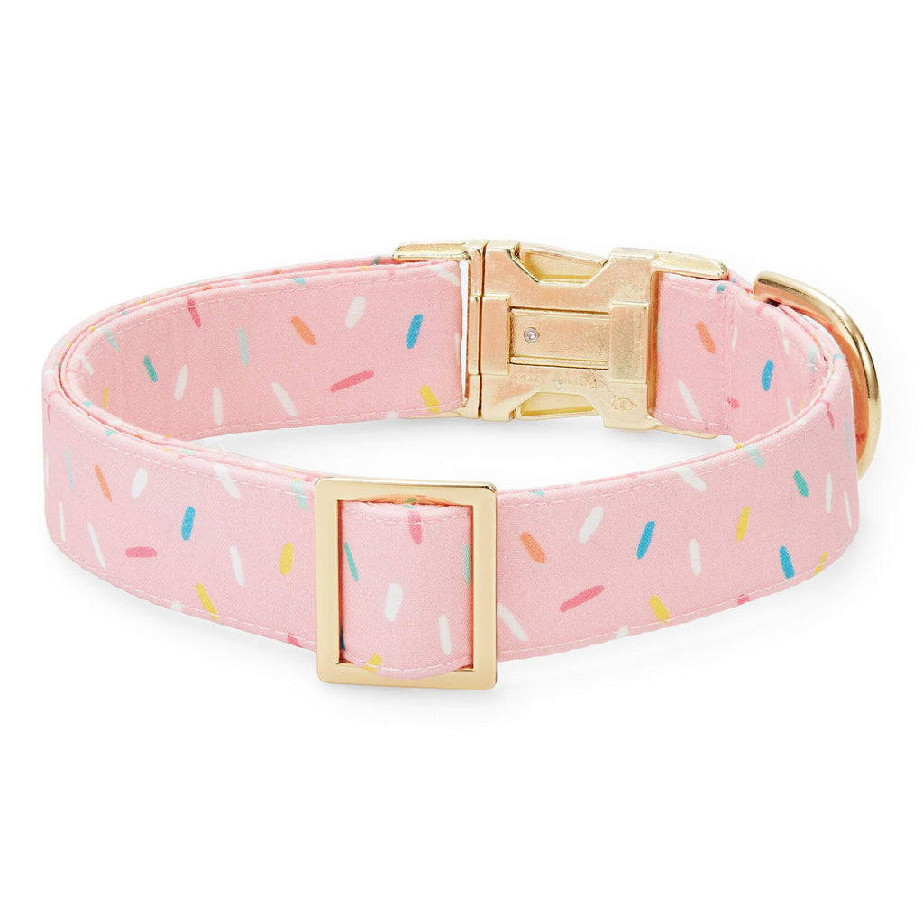 Hot Pink Dog Collar – The Foggy Dog