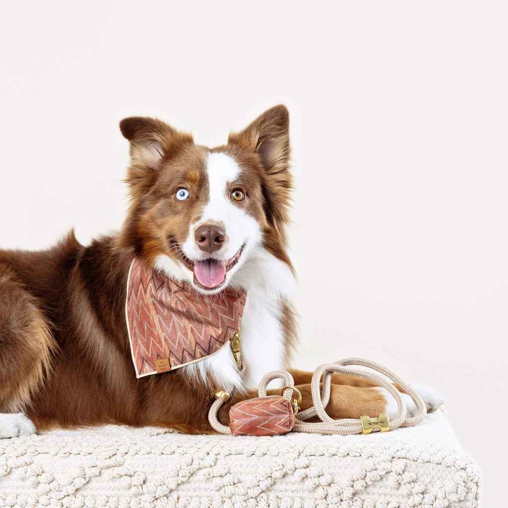 Shabby fabrics dog outlet bandana