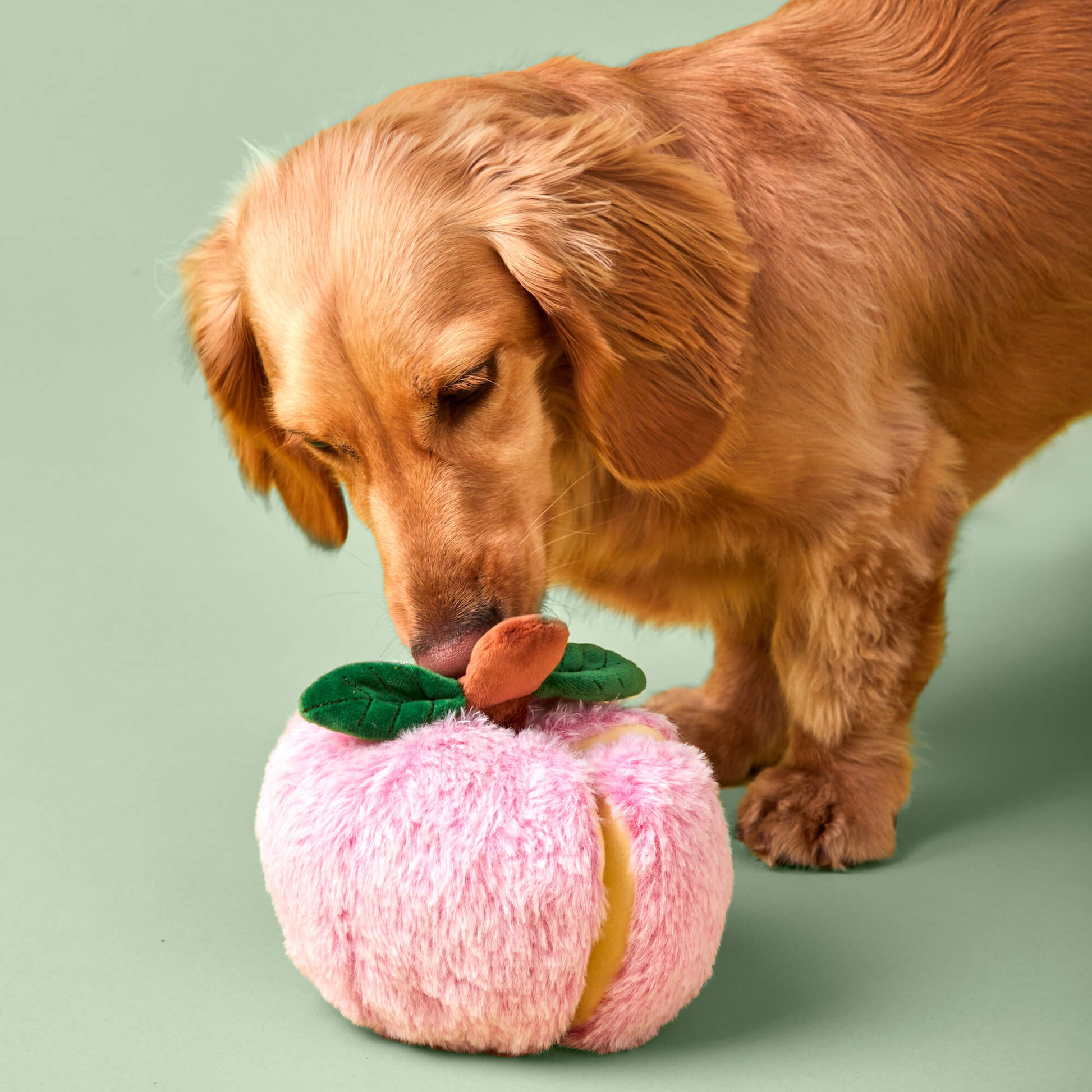 Apple Interactive Snuffle Dog Toy from The Foggy Dog