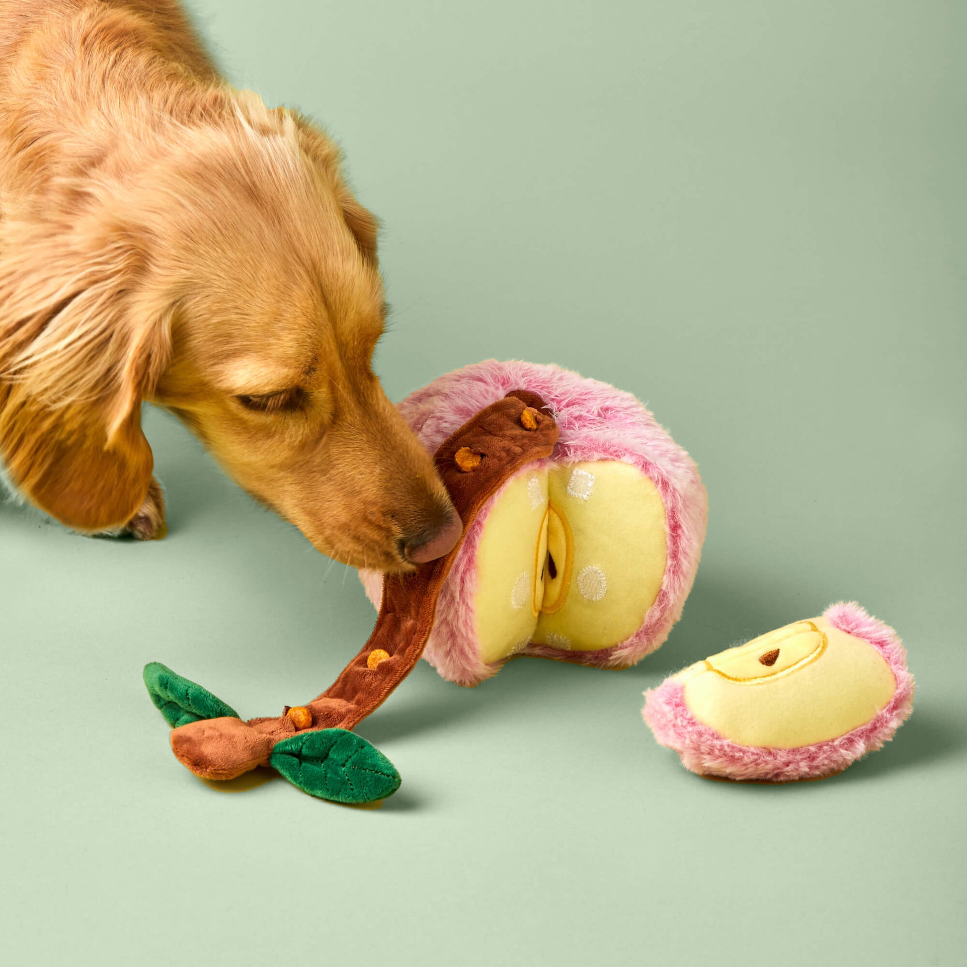 Apple Interactive Snuffle Dog Toy from The Foggy Dog