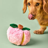 Apple Interactive Snuffle Dog Toy from The Foggy Dog