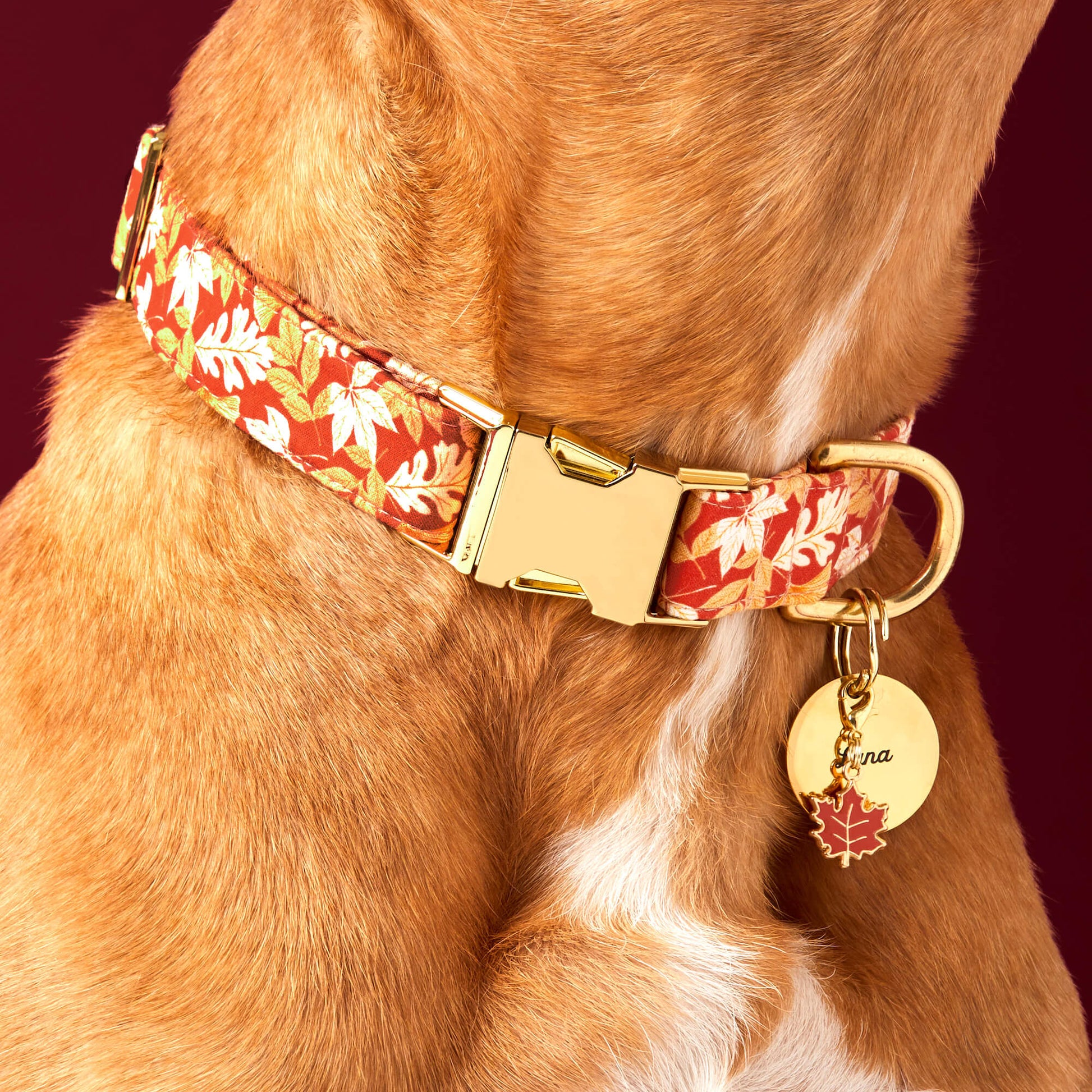 Maple Leaf Collar Charm from The Foggy Dog