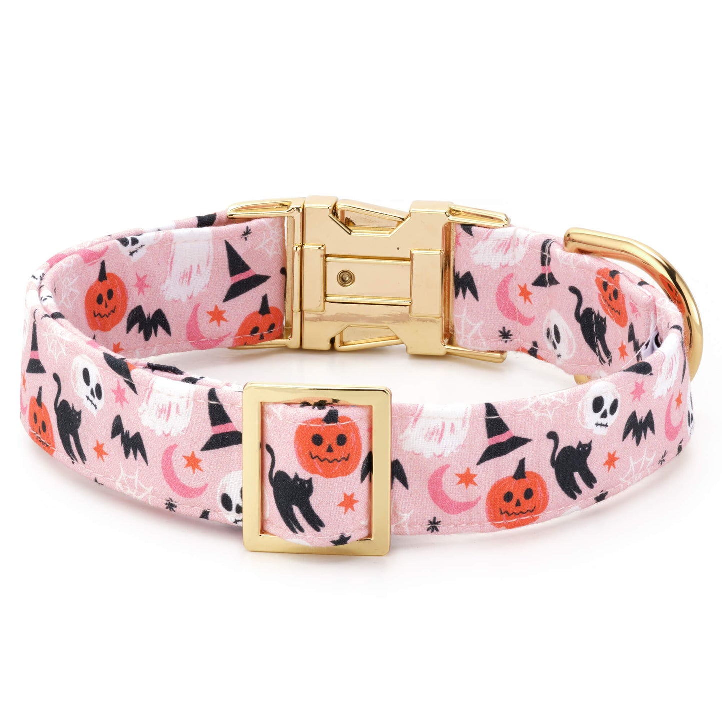 Bewitched Dog Collar from The Foggy Dog