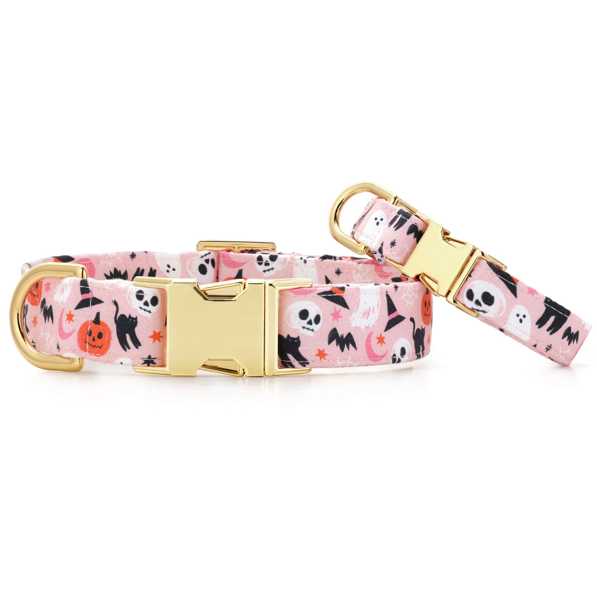 Bewitched Dog Collar from The Foggy Dog