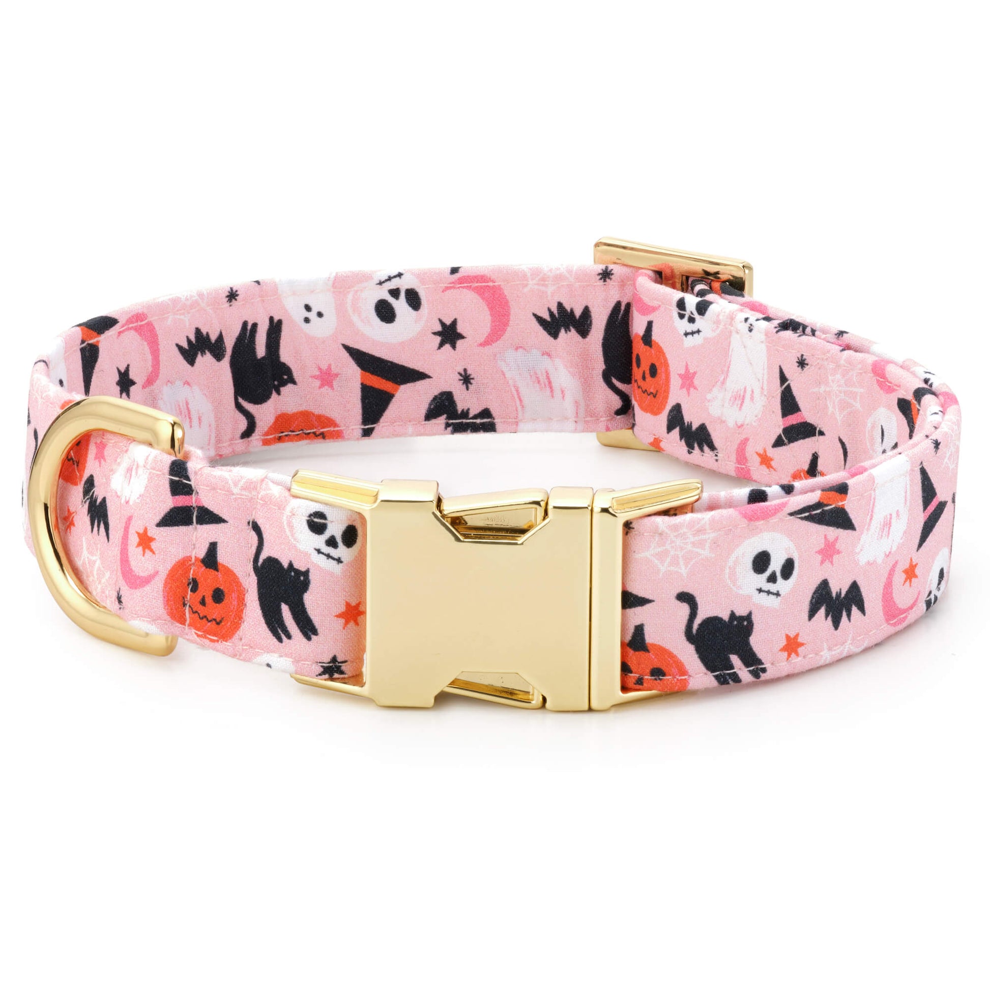 Bewitched Dog Collar from The Foggy Dog