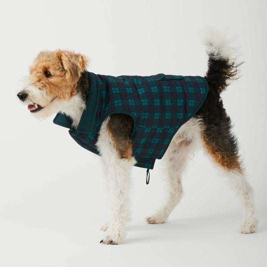 #Modeled by Sesame (23lbs) in Medium