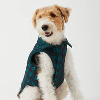 Black Watch Plaid Reversible Dog Jacket from The Foggy Dog