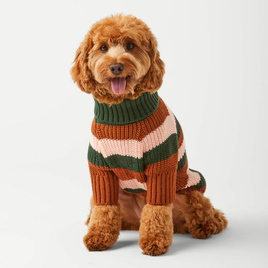 Bold Stripe Dog Sweater from The Foggy Dog