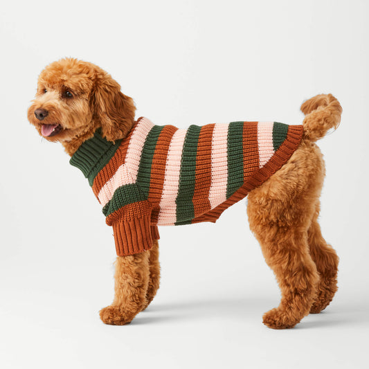 #Modeled by Poppy (18lbs) in Medium