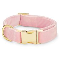 Blush Pink Velvet Dog Collar from The Foggy Dog