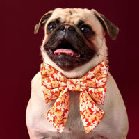 #Modeled by Greg (21lbs) in a Medium collar and Large lady bow