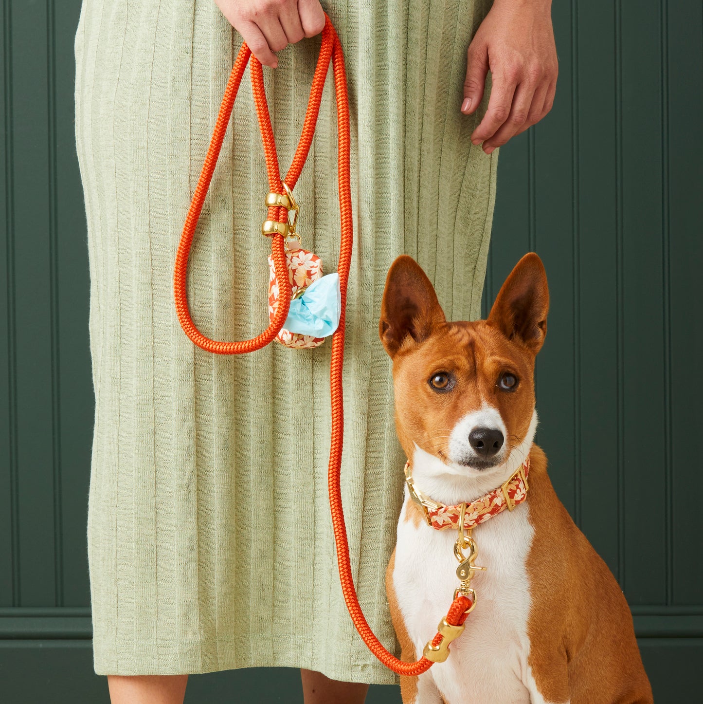 Cider Marine Rope Dog Leash (Standard/Petite) from The Foggy Dog 