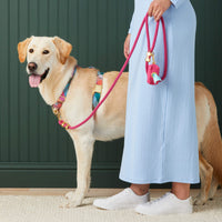 #Modeled by Olive (70lbs) in a Large harness and Standard leash