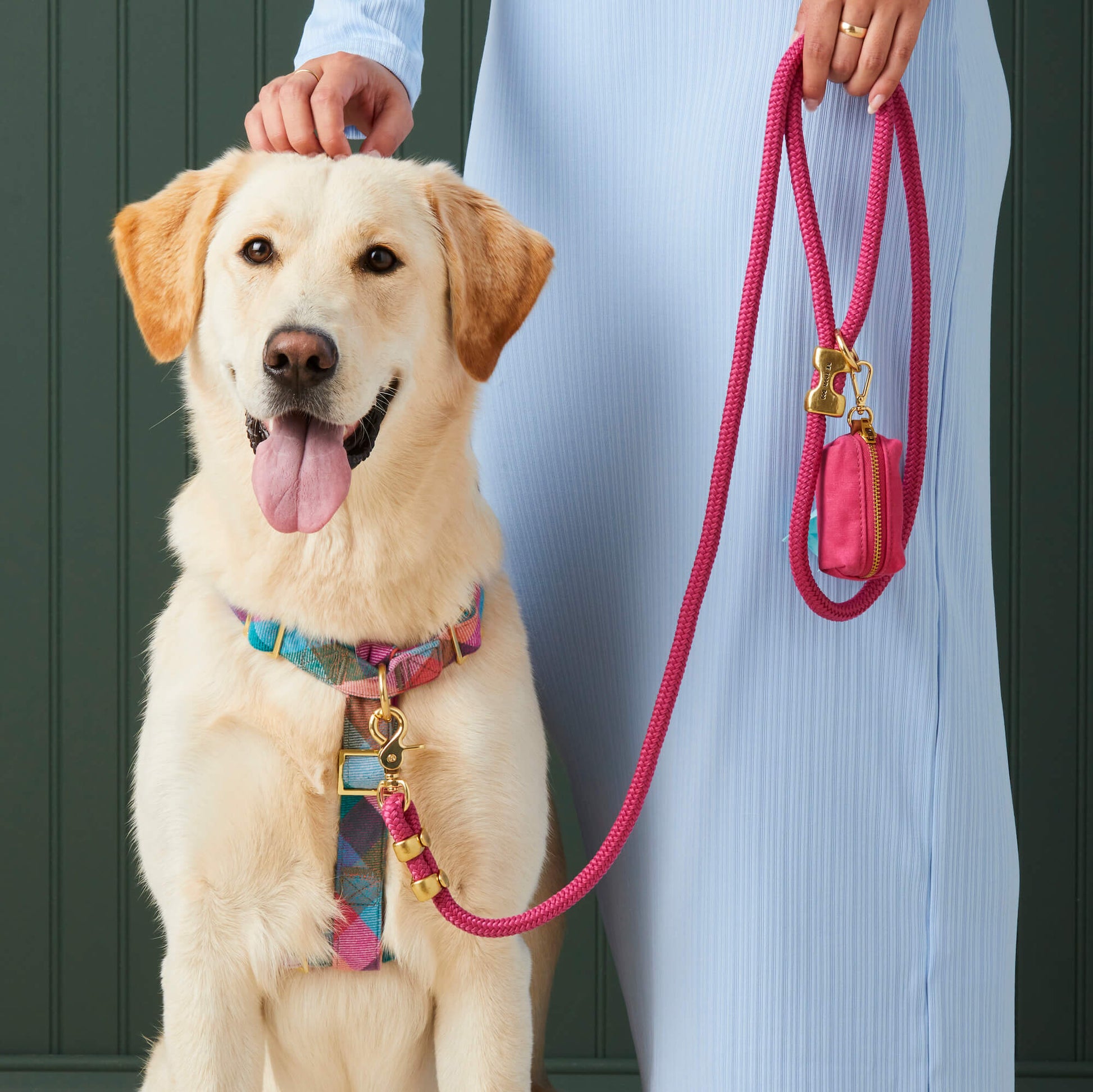 #Modeled by Olive (70lbs) in a Large harness and Standard leash