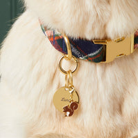 Circle pet ID tag from The Foggy Dog