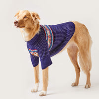 Gray Malin x TFD Hit the Slopes Dog Sweater from The Foggy Dog