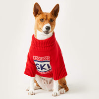 #Modeled by Ricky (27lbs) in Medium