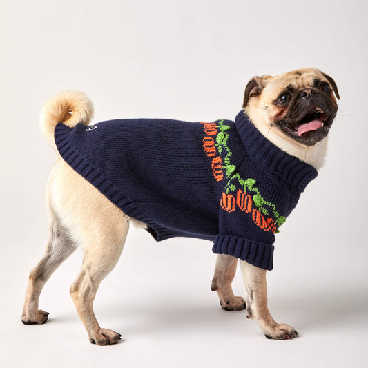 Pumpkin Patch Dog Sweater from The Foggy Dog