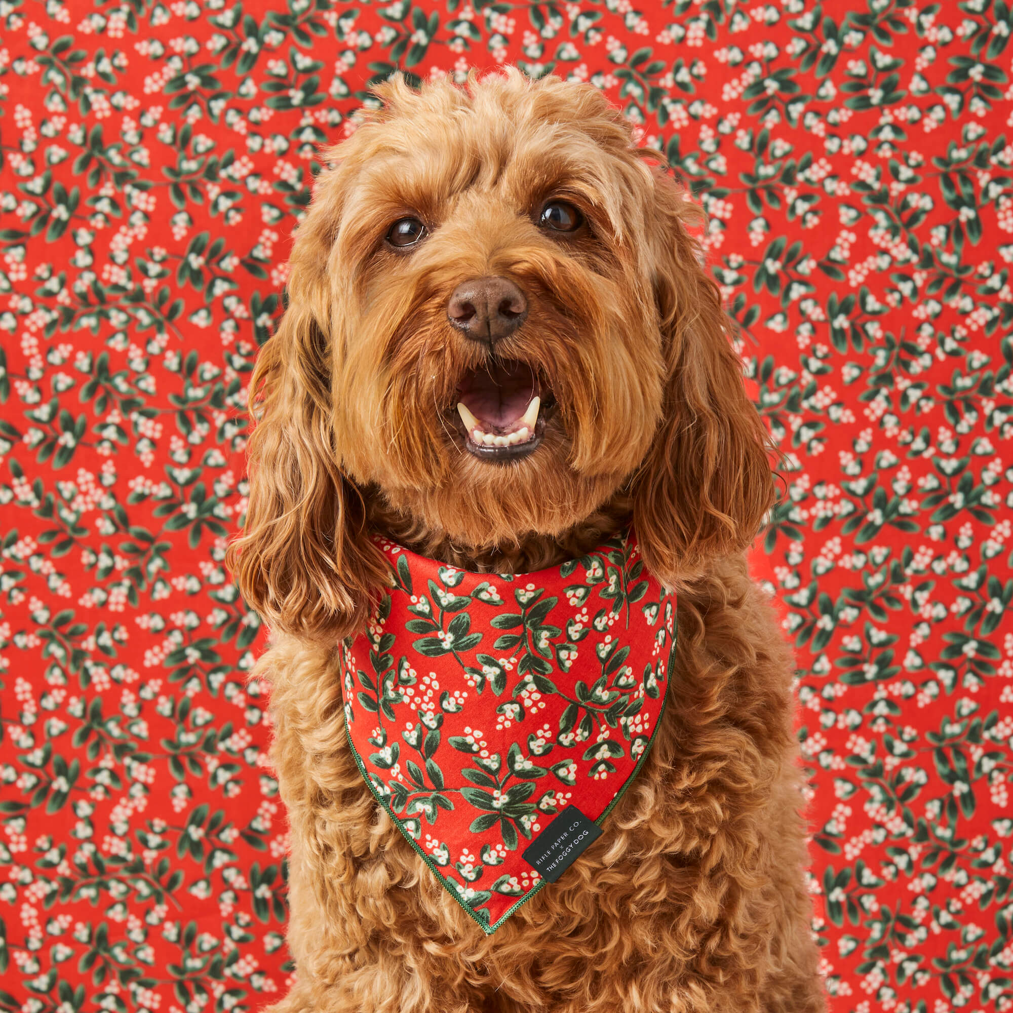 Solid color shops dog bandanas