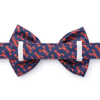 Catch of the Day Bow Tie Collar from The Foggy Dog