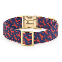 Catch of the Day Dog Collar from The Foggy Dog