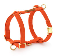 Cider Dog Harness from The Foggy Dog