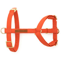 Cider Dog Harness from The Foggy Dog