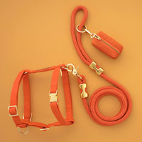 Cider Harness Walk Set from The Foggy Dog