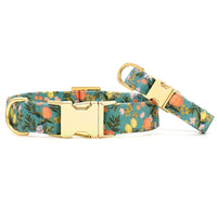 Rifle Paper Co. x TFD Citrus Floral Dog Collar from The Foggy Dog