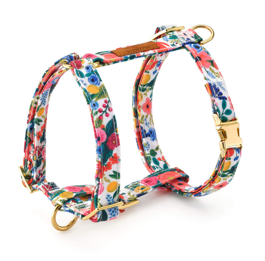 Rifle Paper Co. x TFD Garden Party Dog Harness