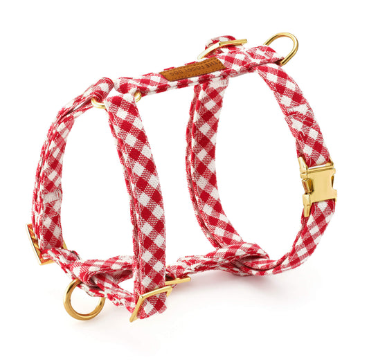 Red Gingham Dog Harness from The Foggy Dog