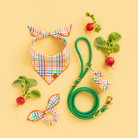 Rainbow Gingham Waste Bag Dispenser from The Foggy Dog