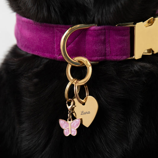 Butterfly Collar Charm from The Foggy Dog