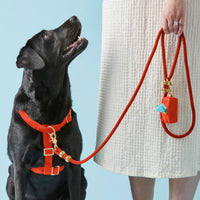 #Modeled by Koda (56lbs) in a Large harness and Standard leash