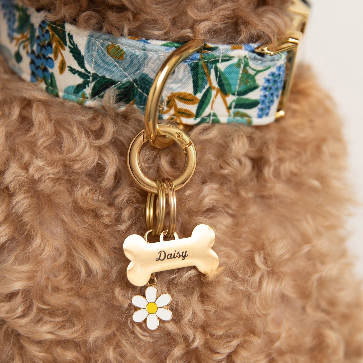 Daisy Collar Charm from The Foggy Dog