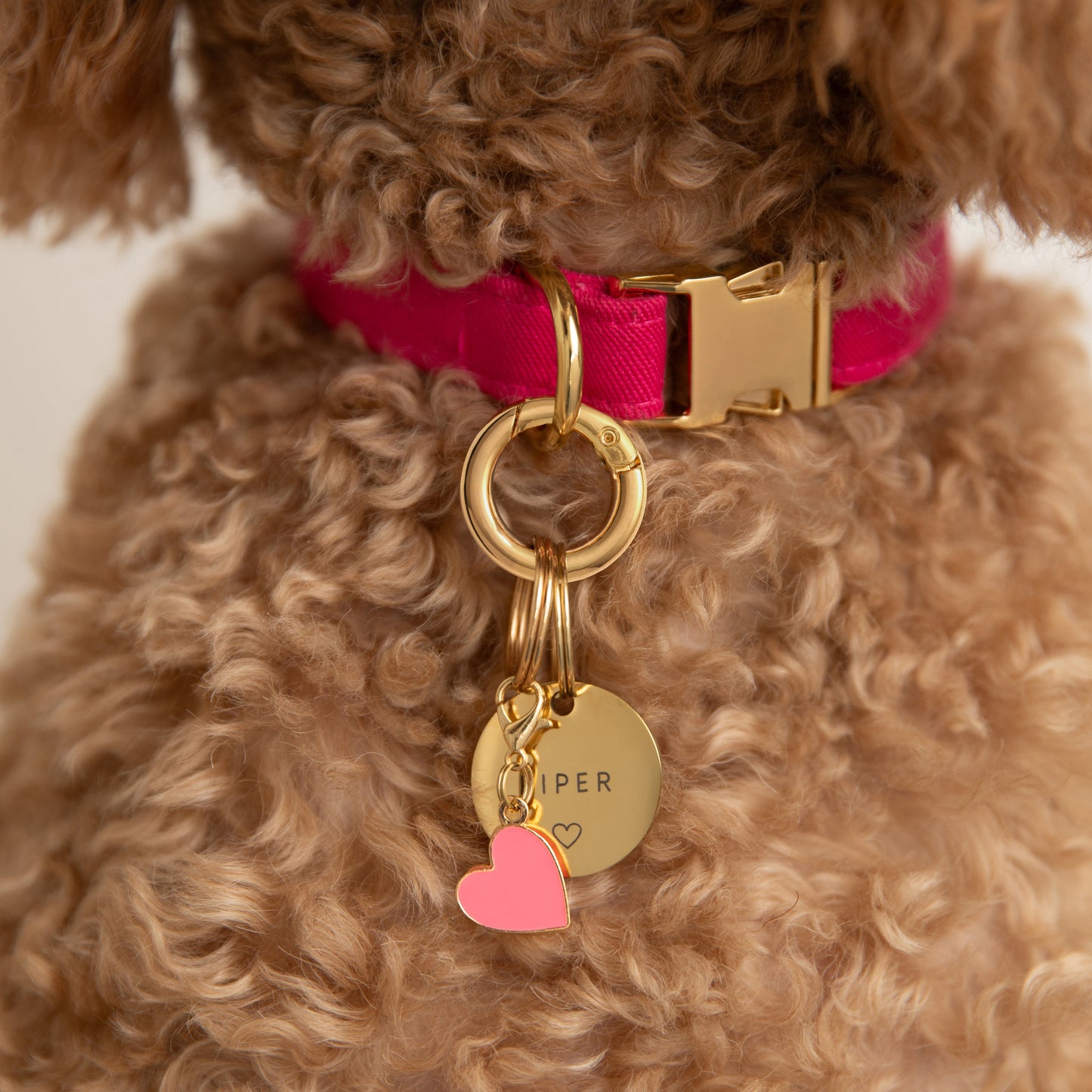 Heart Collar Charm from The Foggy Dog