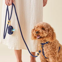 #Modeled by Utah (25lbs) in a Small harness and Standard leash