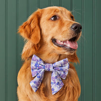 #Modeled by Aura (65lbs) in a Large lady bow